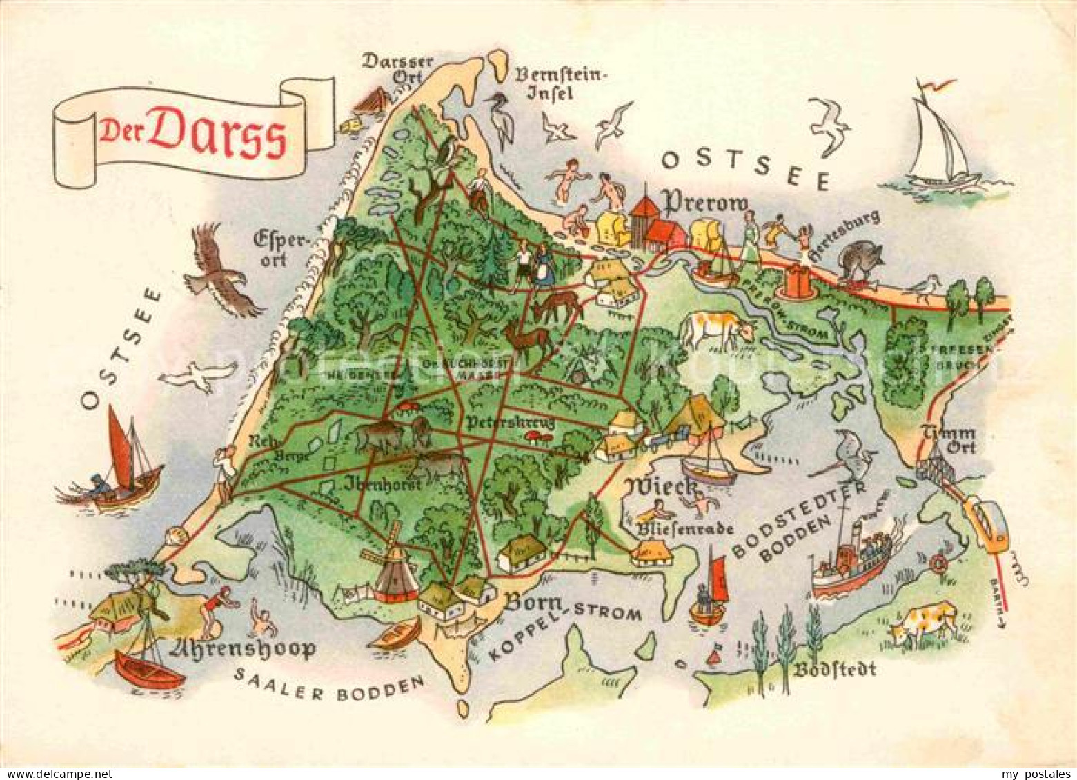 72750720 Darss Region Ostsee Panoramakarte Darss Region Ostsee - Sonstige & Ohne Zuordnung