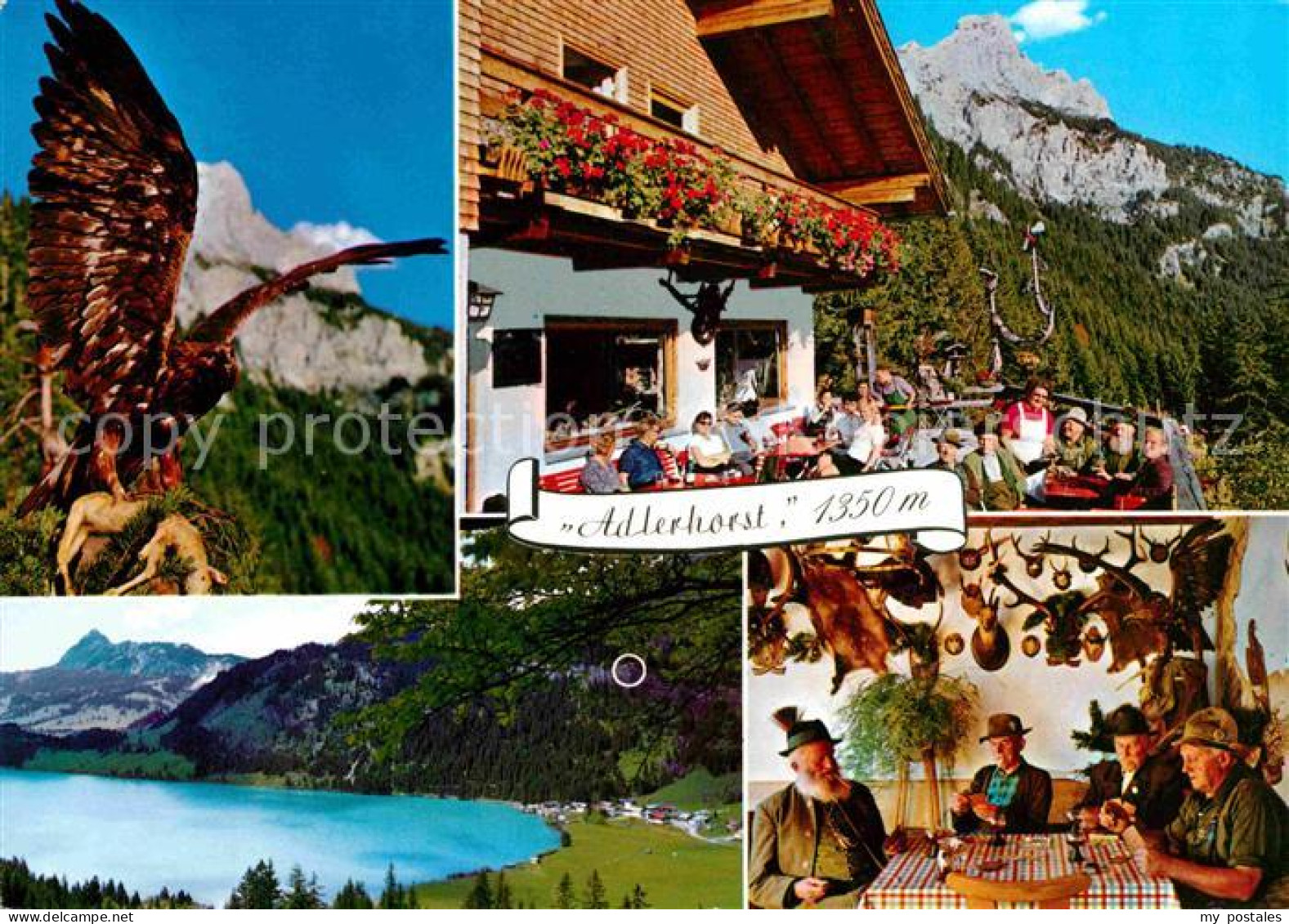 72750622 Nesselwaengle Tirol Alpengasthof Adlerhorst See Haller Graen Nesselwaen - Andere & Zonder Classificatie