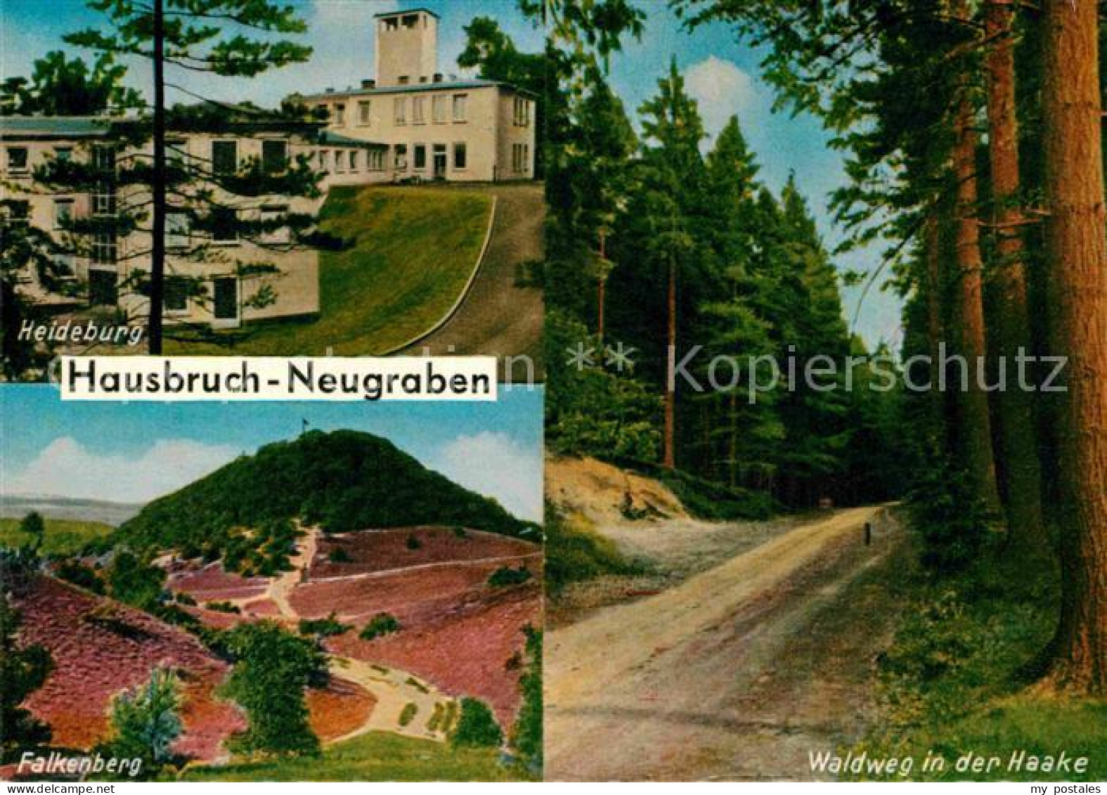 72750560 Neugraben Hausbruch Heideburg Falkenberg Waldweg In Der Haake Neugraben - Other & Unclassified