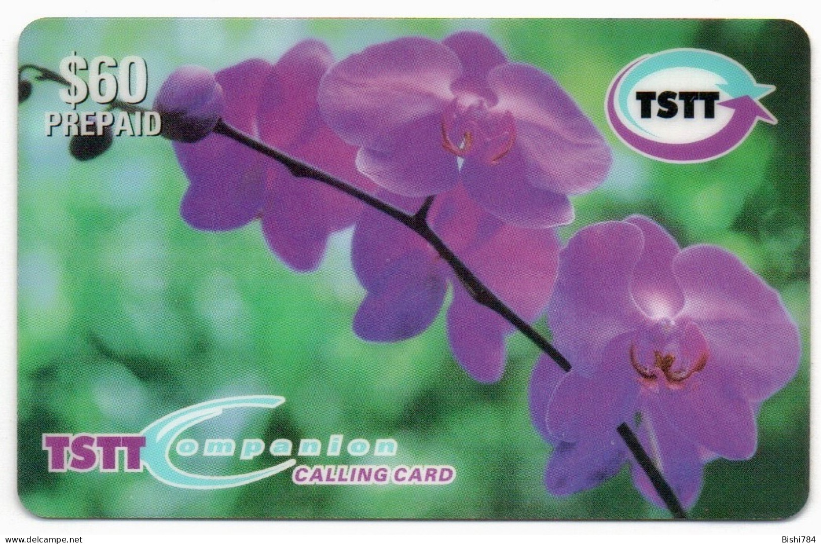 Trinidad & Tobago - Purple Flowers (Orchids) - Trinidad & Tobago