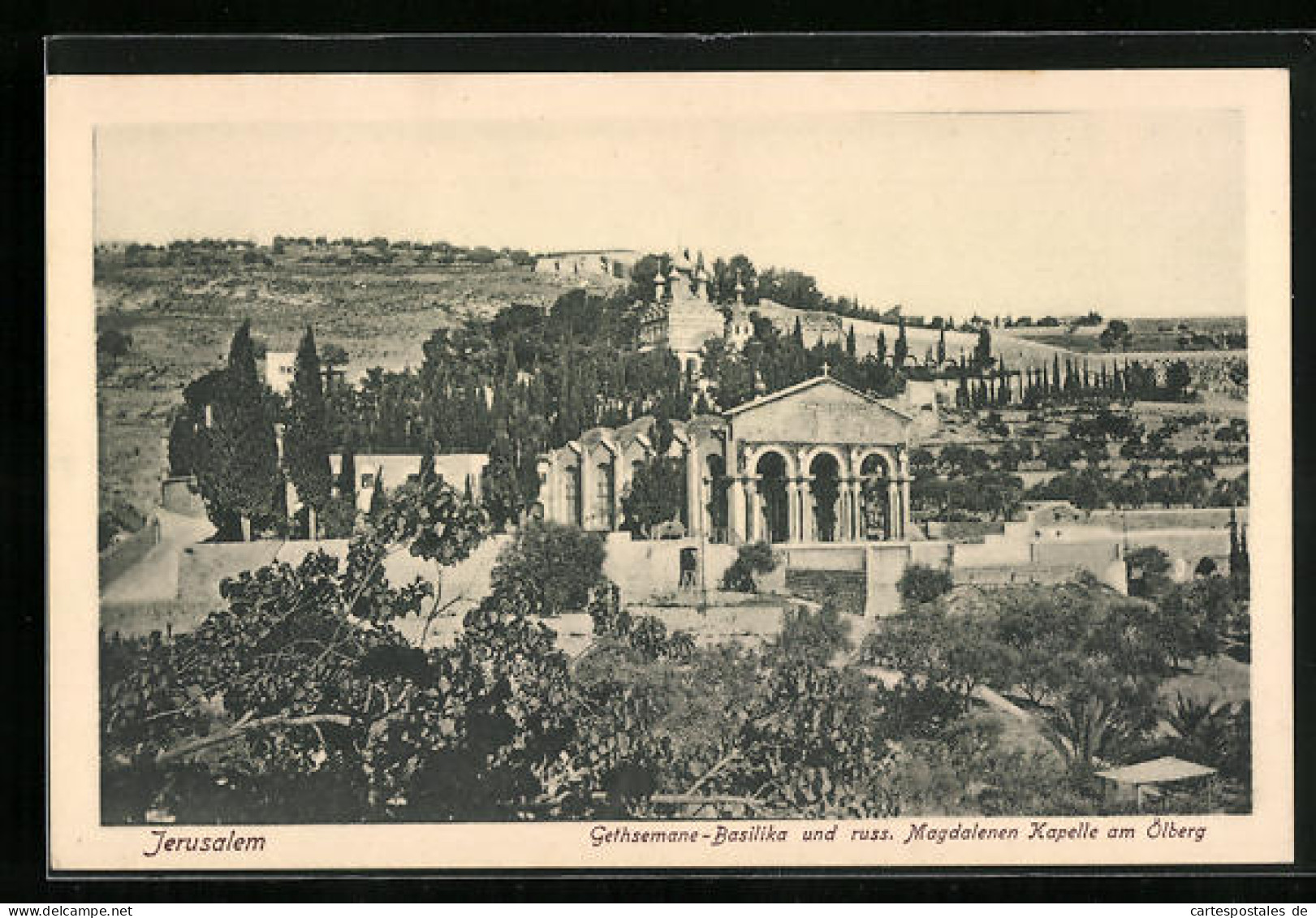 AK Jerusalem, Gethsemane-Basilika Und Russ. Magdalenen Kapelle Am Ölberg  - Palestine