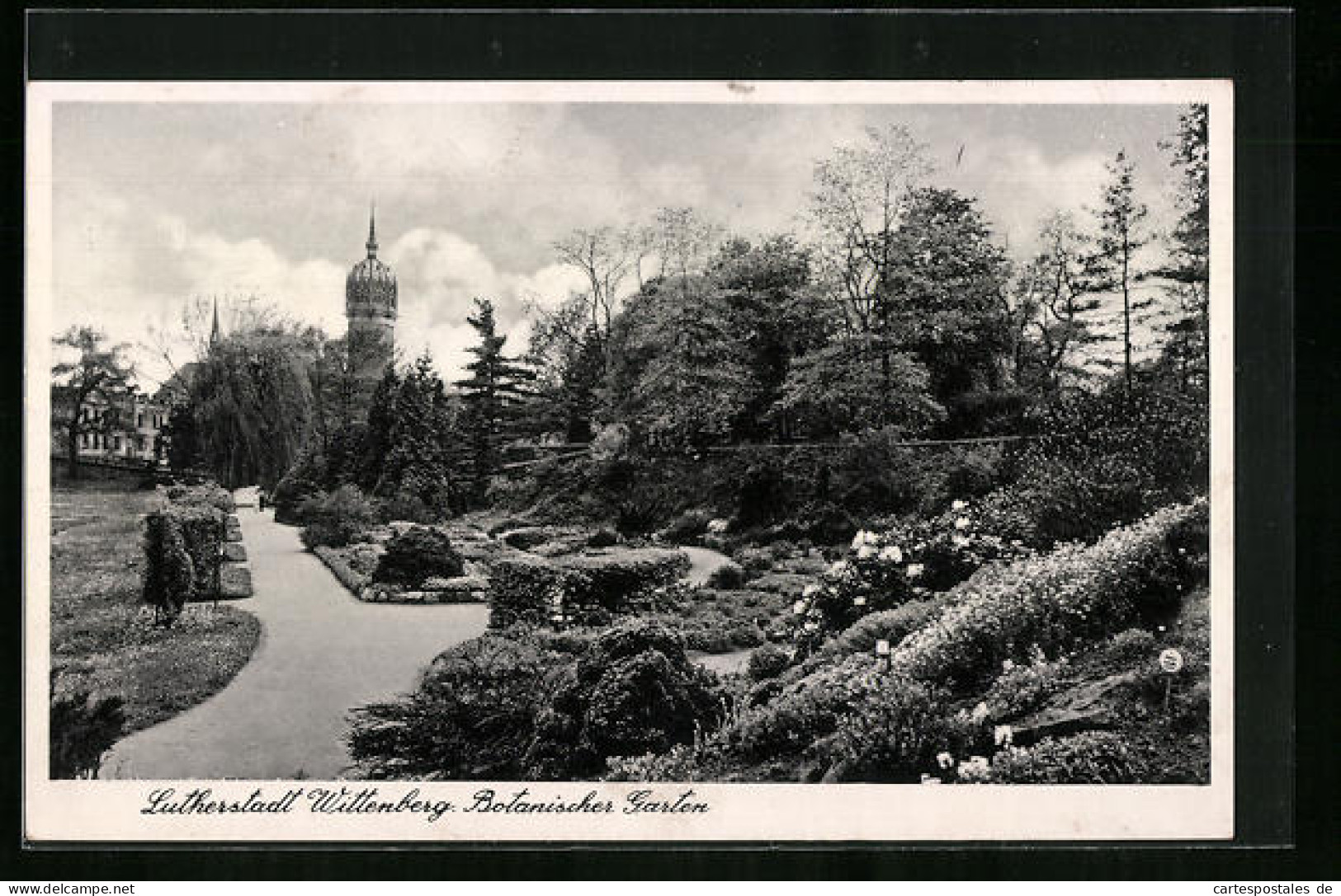 AK Wittenberg, Der Botanische Garten Der Lutherstadt  - Wittenberg