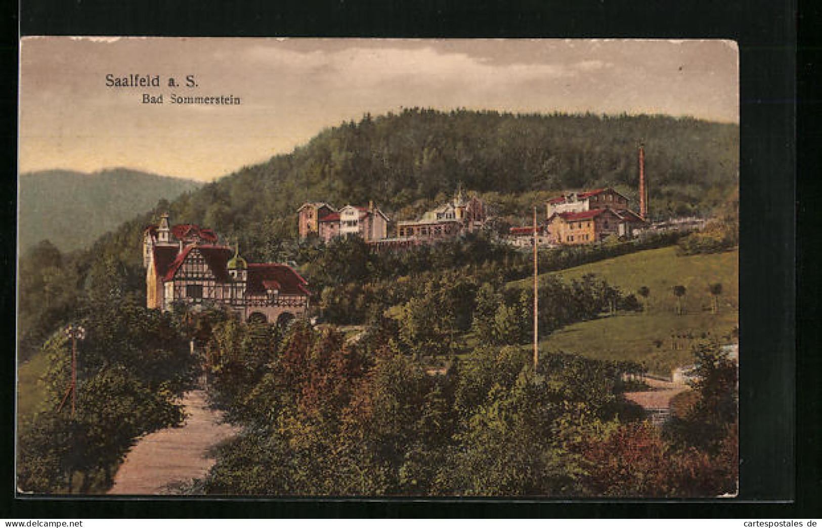 AK Saalfeld A. S., Blick Auf Die Villen Am Hang  - Saalfeld