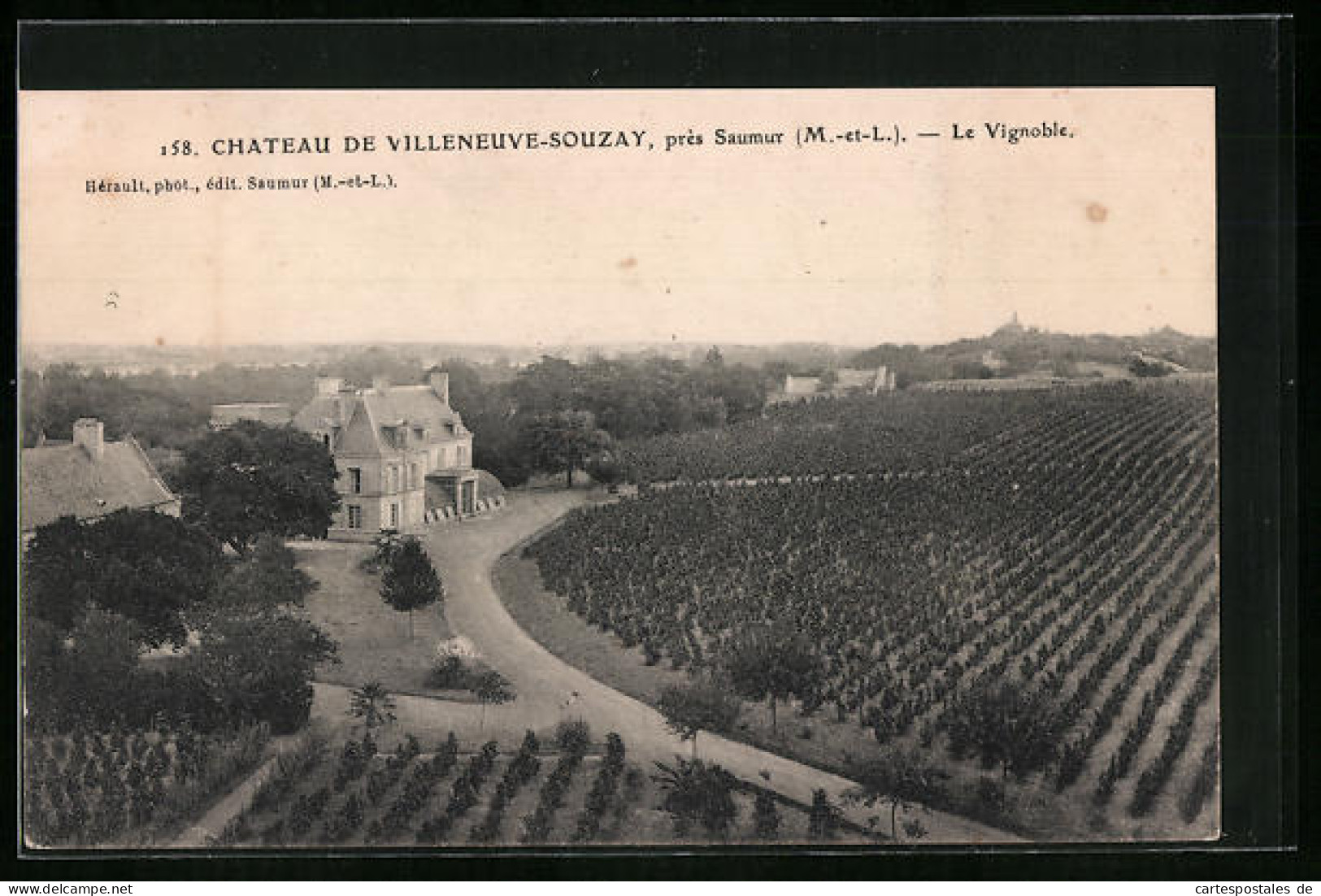 CPA Villeneuve-Souzay, Chateau, Le Vignoble  - Other & Unclassified