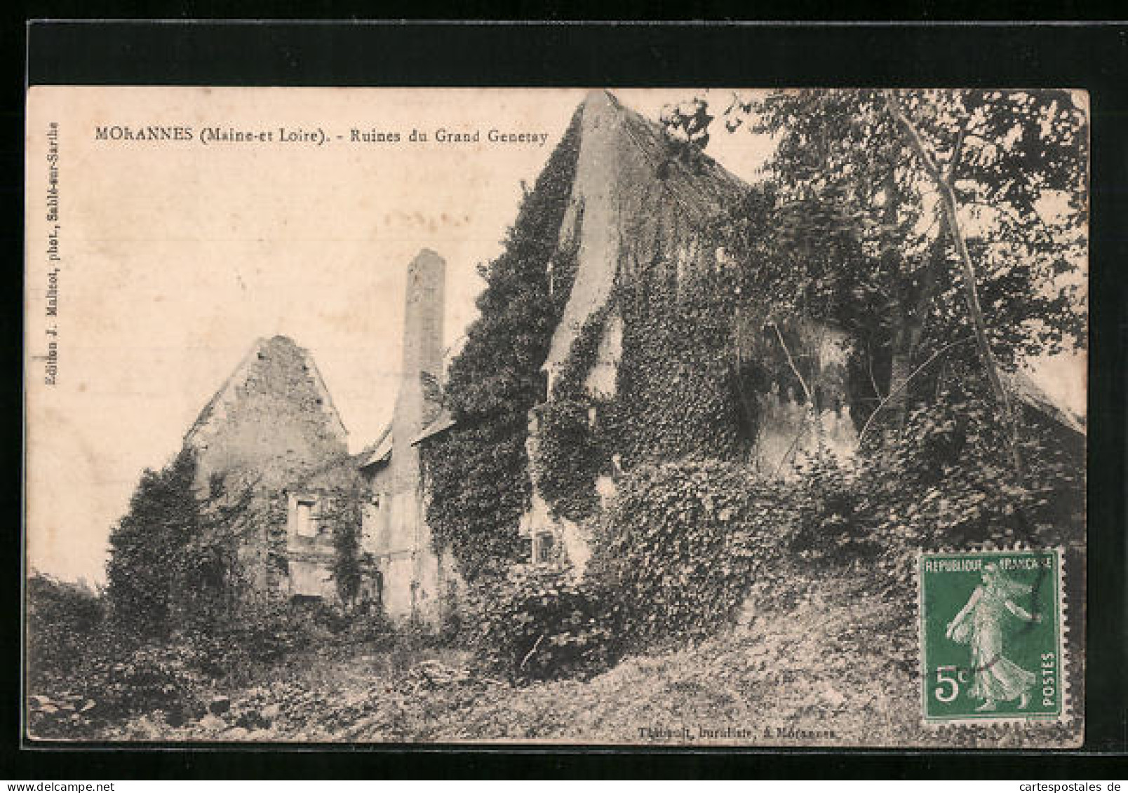 CPA Morannes, Ruines Du Grand Genetay  - Other & Unclassified