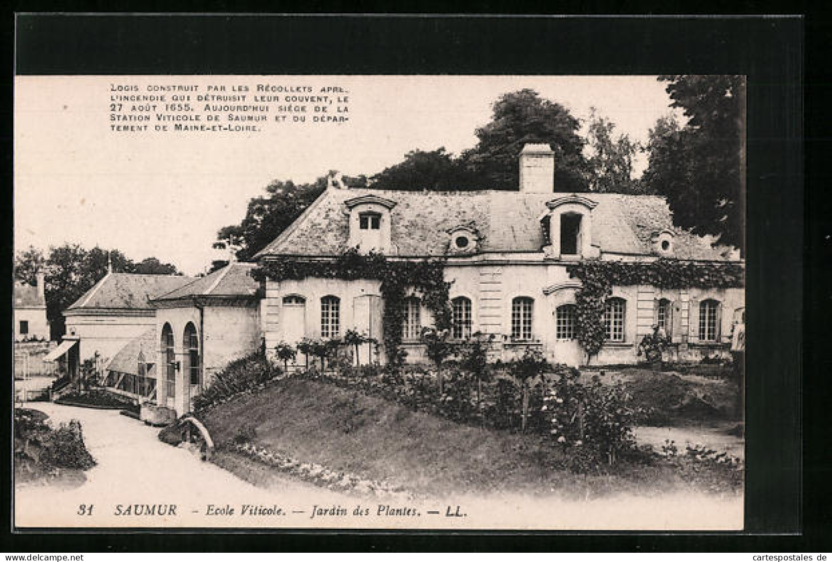 CPA Saumur, Ecole Viticole, Jardin Des Plantes  - Saumur