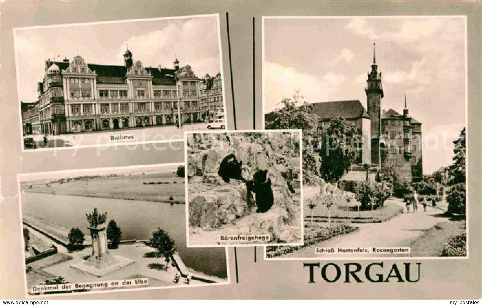 72749654 Torgau Schloss Denkmal Der Begegnung Rathaus  Torgau - Torgau