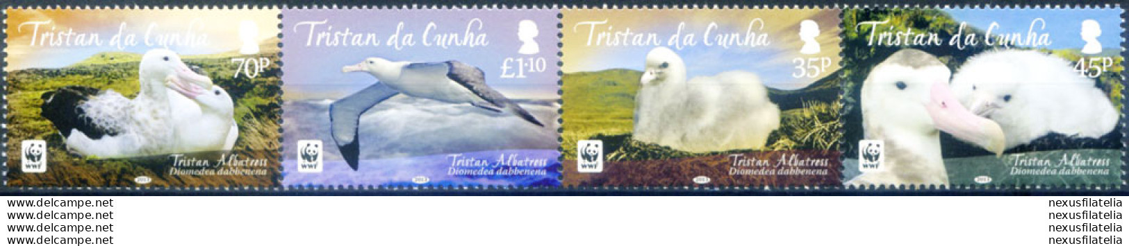 Fauna. Uccelli. Albatros (senza Bordo Bianco) 2013. - Tristan Da Cunha