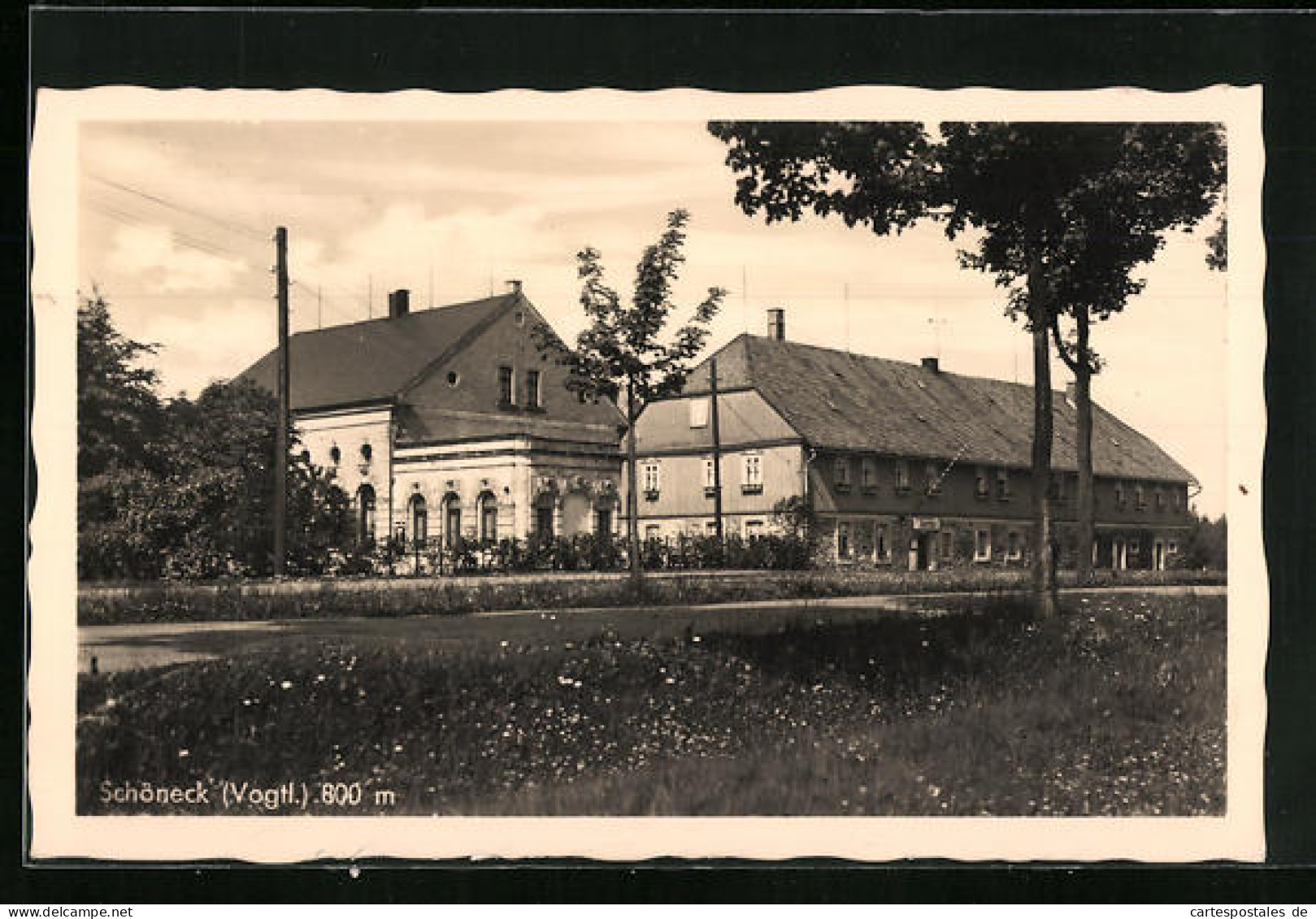 AK Schöneck / Vogtl., Fremdenhof Tannenhaus  - Autres & Non Classés