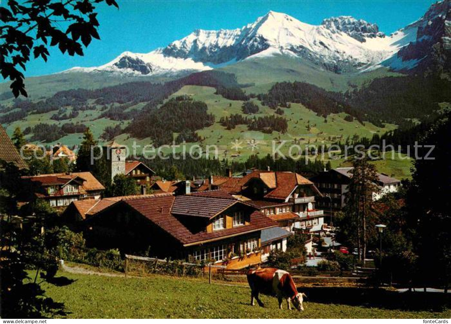 12647709 Adelboden Ortsansicht Mit Kirche Kuh Blick Zur Bonderspitz Kleinlohner  - Sonstige & Ohne Zuordnung