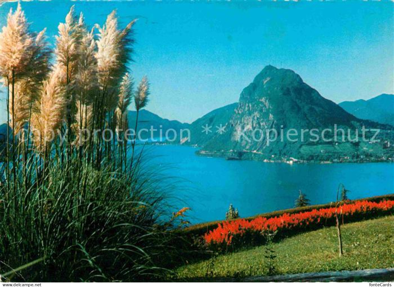 12647699 Lugano Lago Di Lugano Motivo Col San Salvatore Luganersee Lugano - Sonstige & Ohne Zuordnung