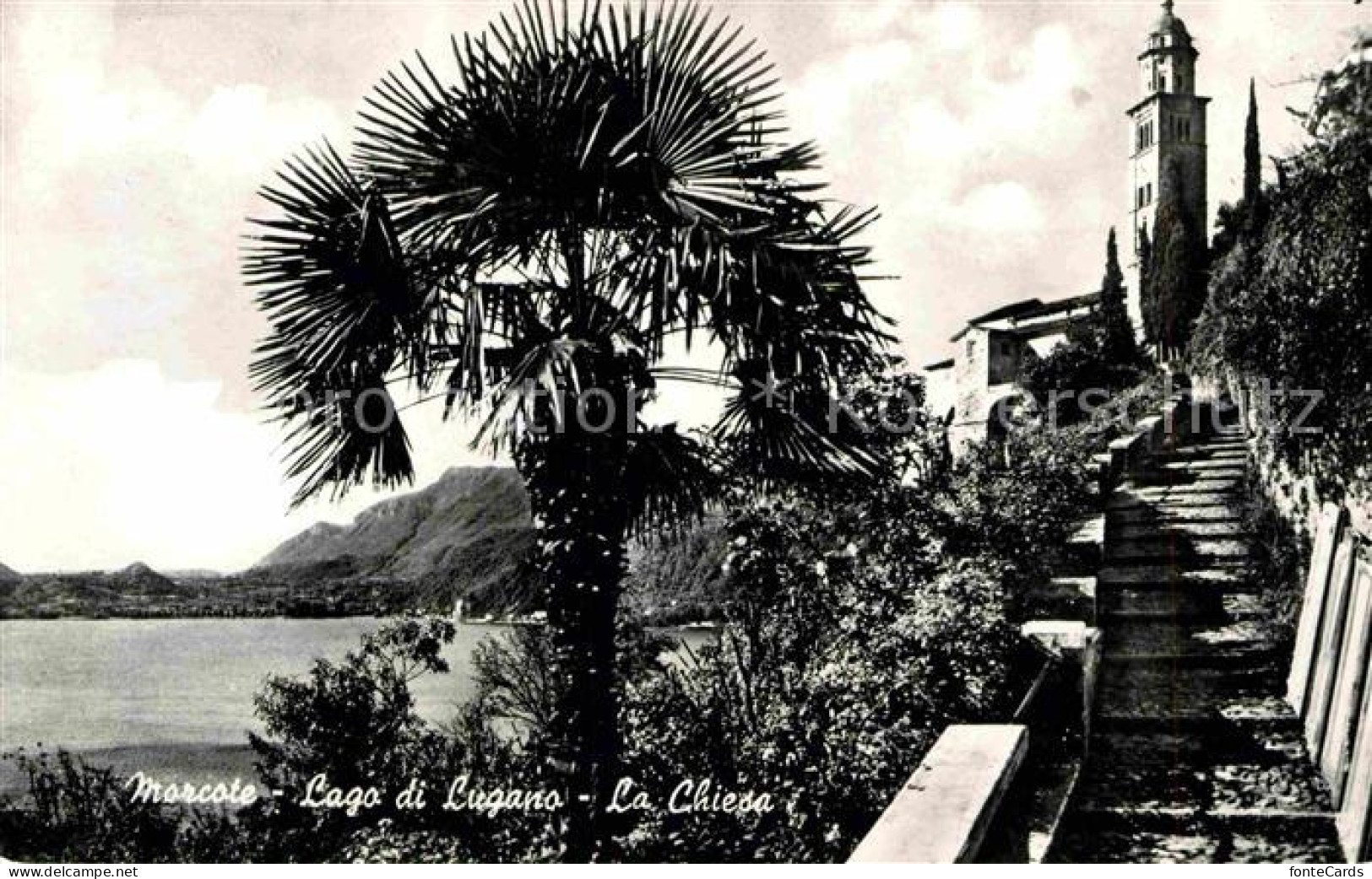 12646469 Morcote Lago Di Lugano Chiesa Kirche Luganersee Palme Morcote Lago Di L - Other & Unclassified