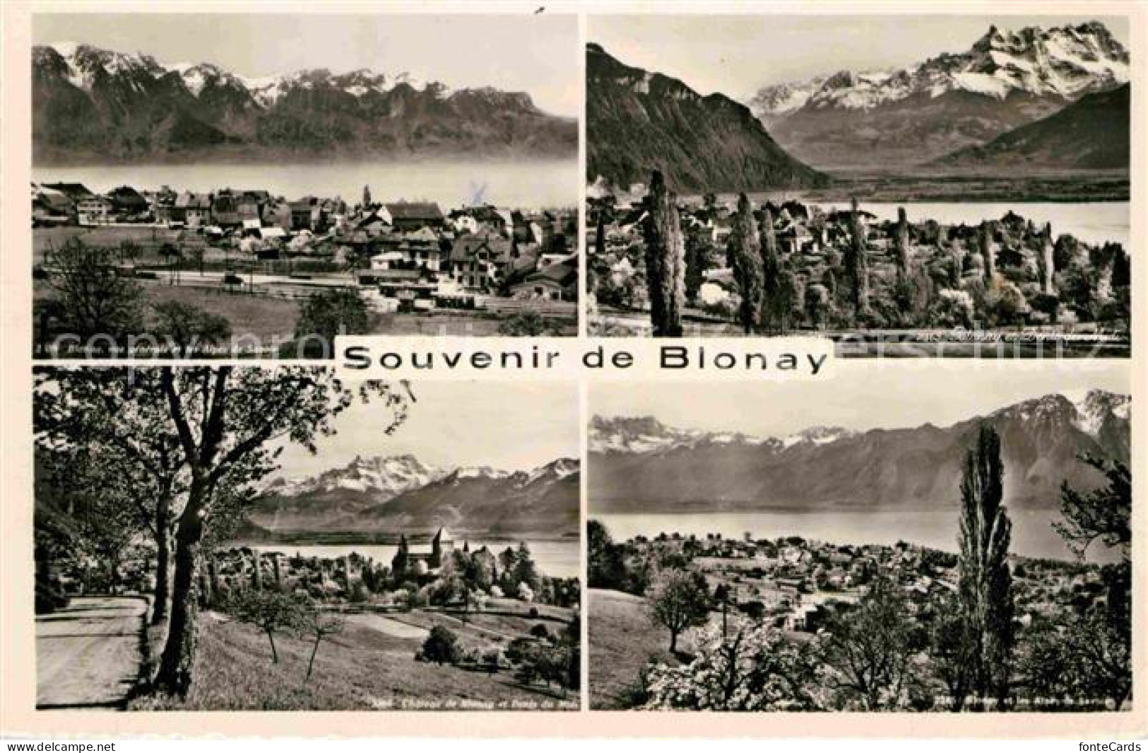 12646459 Blonay Vues Panoramiques Alpes De Savoie Dents De Midi Chateau Blonay - Sonstige & Ohne Zuordnung