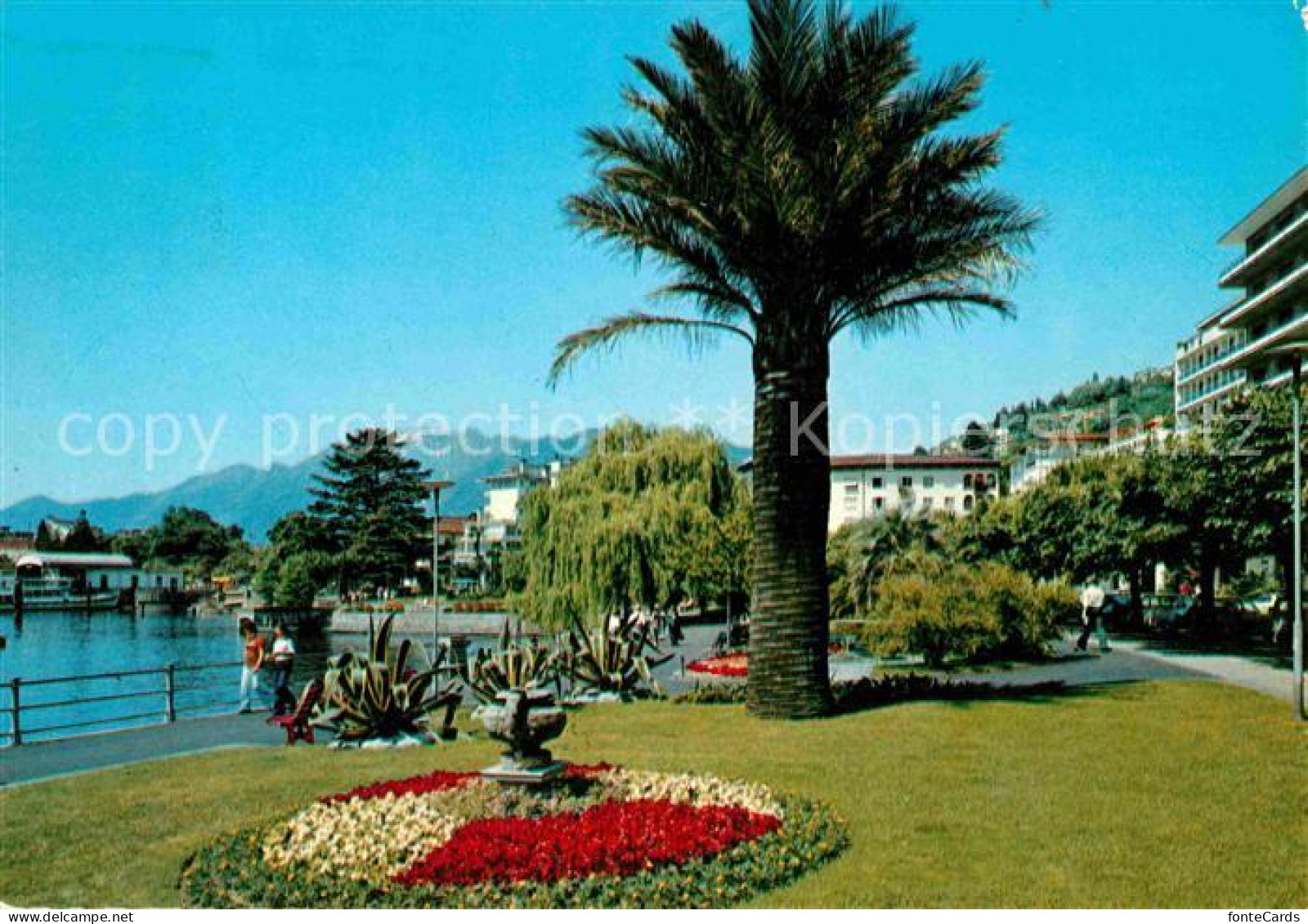 12641729 Locarno Lago Maggiore See Promenade Palme Locarno - Altri & Non Classificati