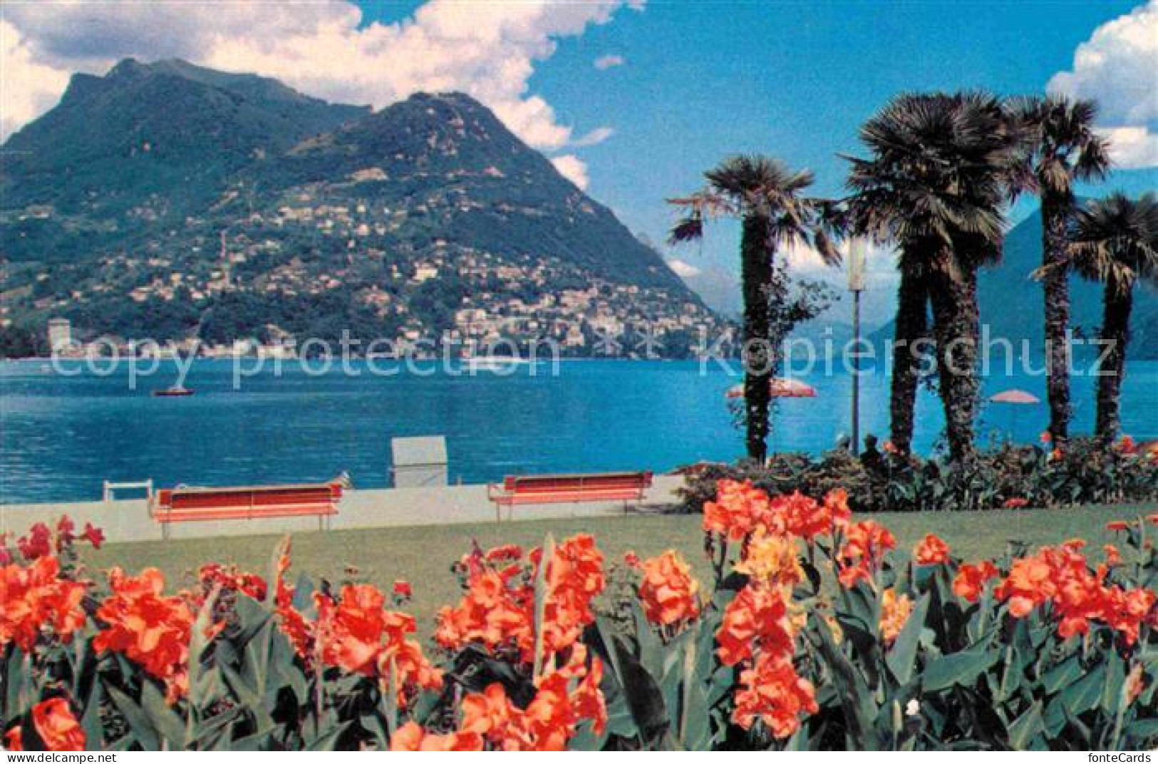 12621789 Paradiso Lago Di Lugano Mit Monte Bre Paradiso - Sonstige & Ohne Zuordnung