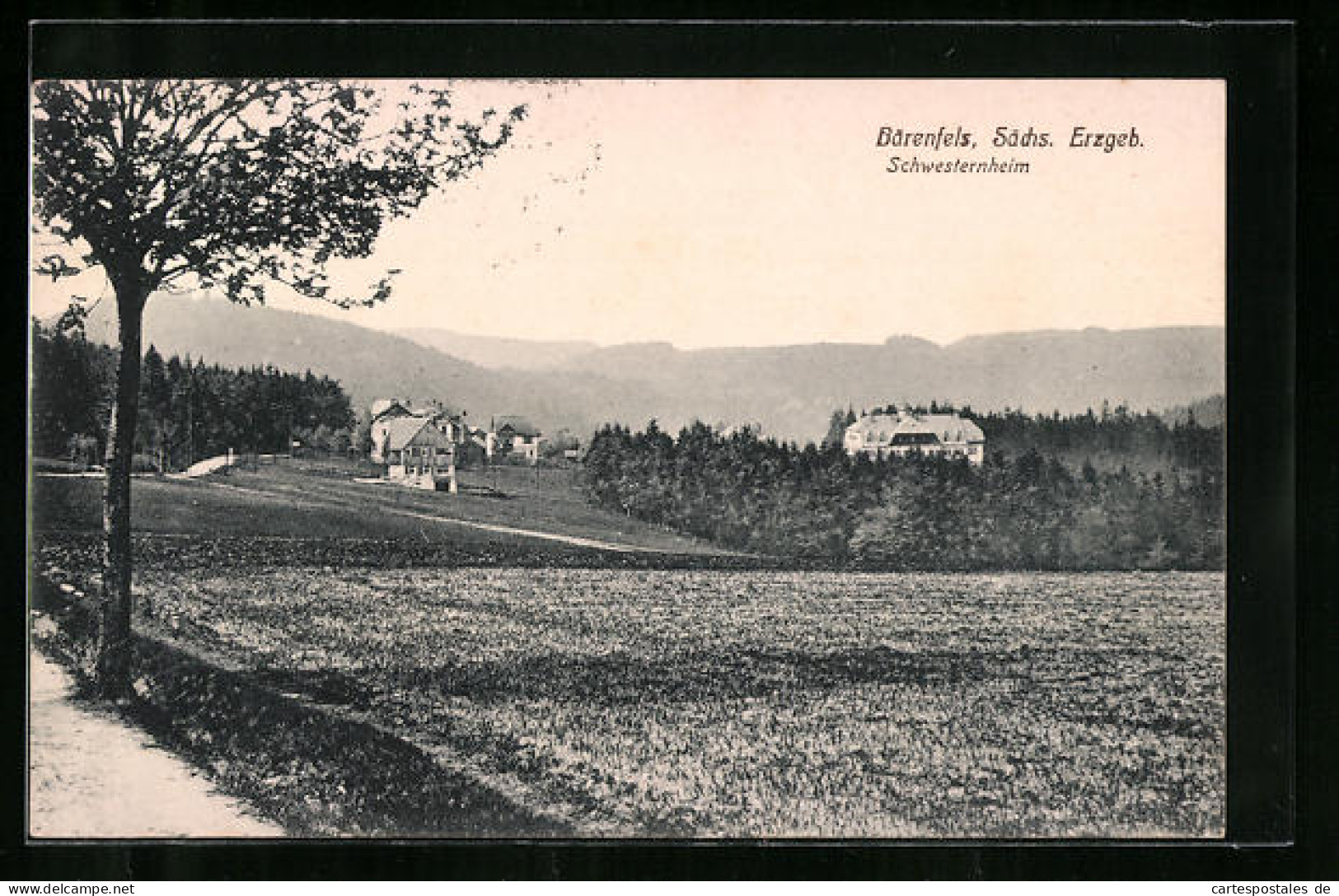 AK Bärenfels / Sächs. Erzgeb., Panorama Mit Schwesternheim  - Autres & Non Classés