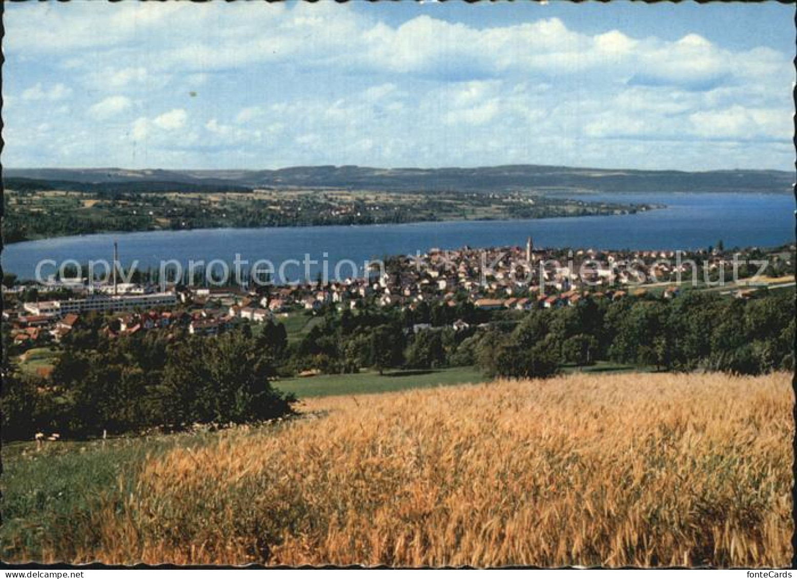 12593289 Steckborn TG Panorama Steckborn - Other & Unclassified