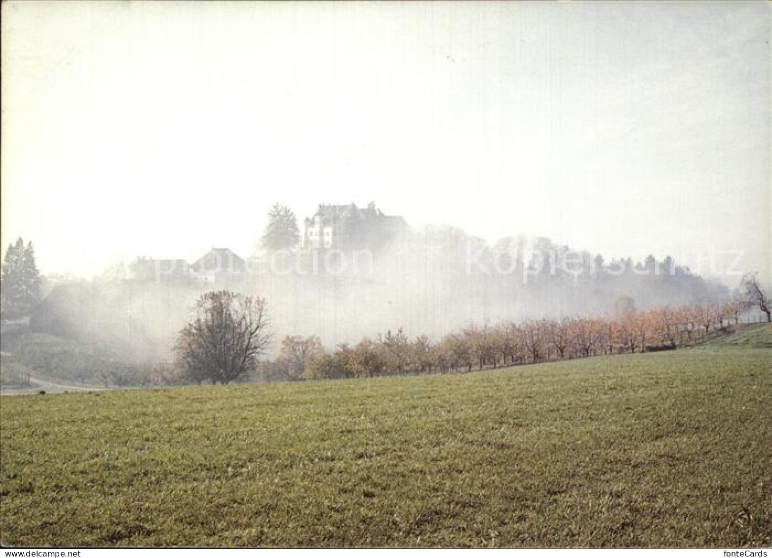 12593139 Stettfurt Schloss Sonnenberg Stettfurt - Andere & Zonder Classificatie