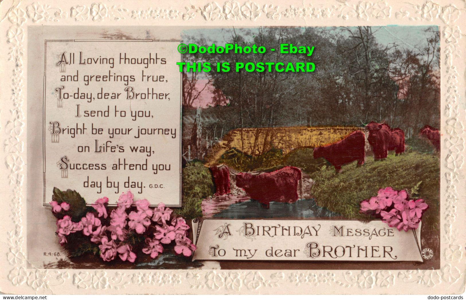 R415005 A Birthday Message To My Dear Brother. Cows. Flowers. Rotary Photo. Raja - World