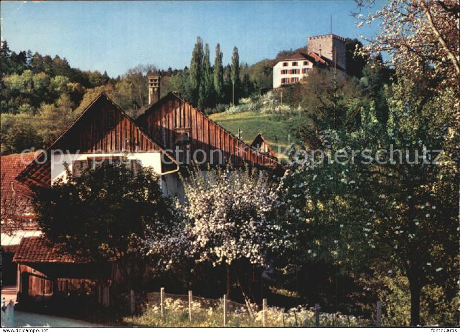 12590919 Weinfelden Schloss  Weinfelden - Sonstige & Ohne Zuordnung