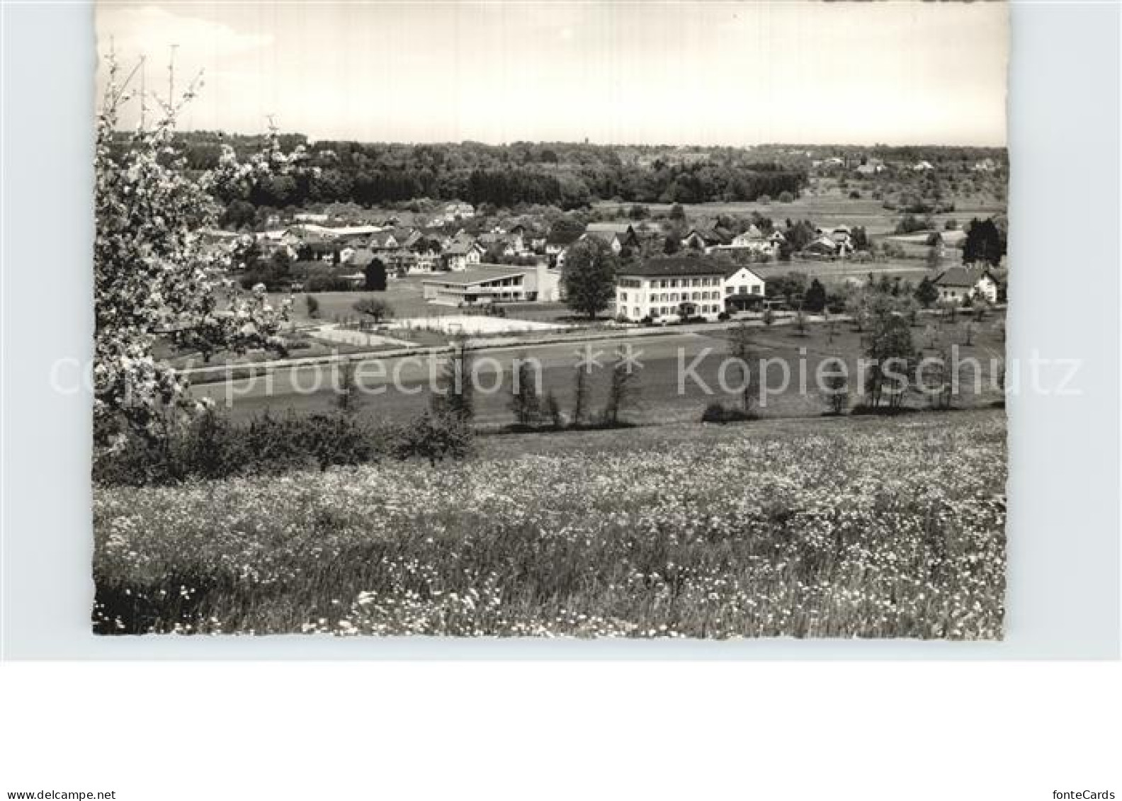 12590159 Erlen Thurgau  Erlen Thurgau - Sonstige & Ohne Zuordnung