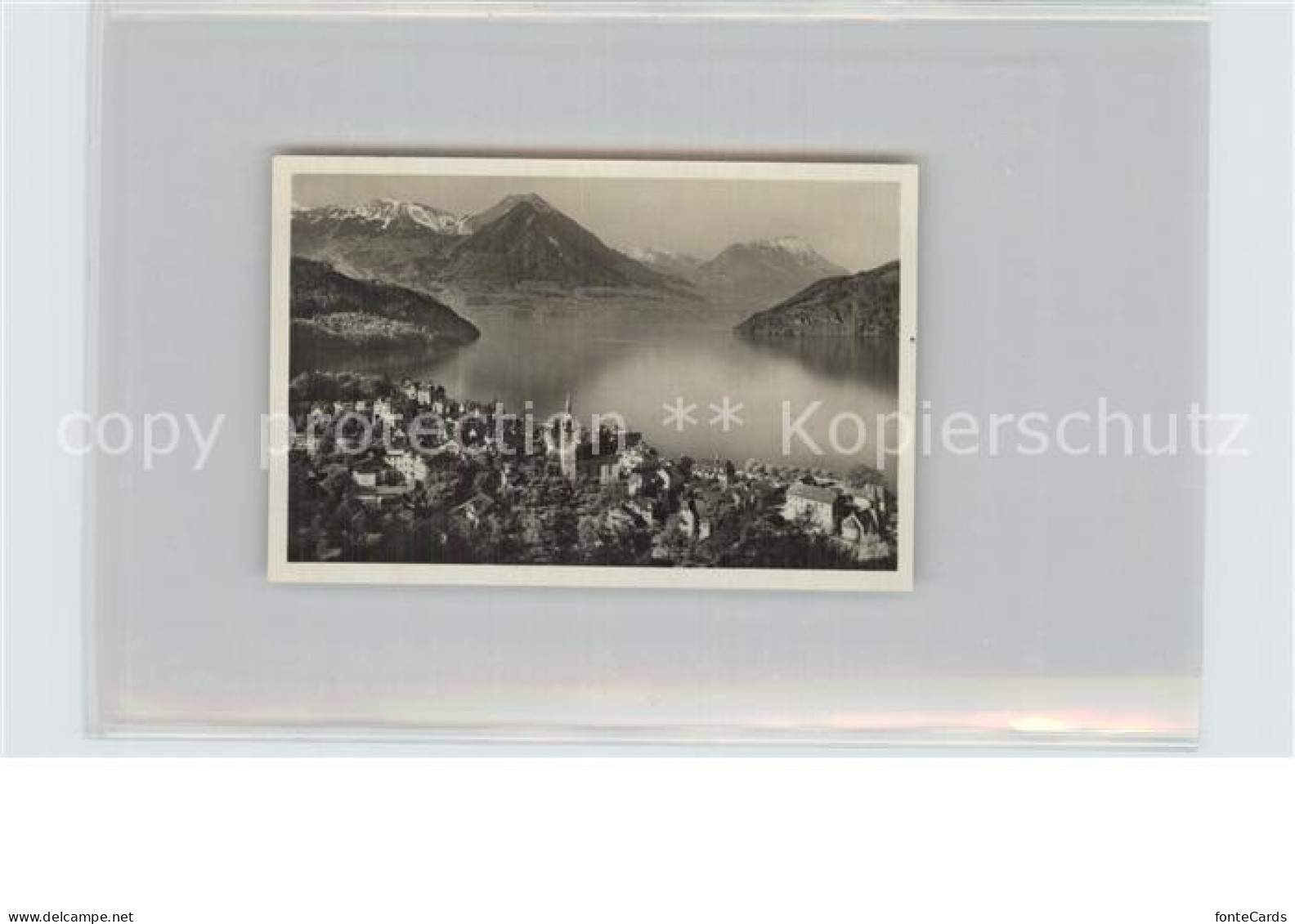 12589329 Vitznau Panorama Vierwaldstaettersee Alpen Vitznau - Andere & Zonder Classificatie