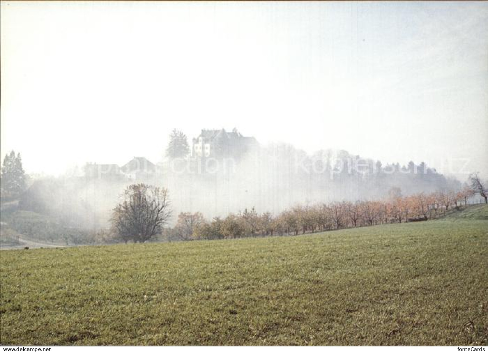 12588599 Stettfurt Schloss Sonnenberg Im Nebel 75 Jahre Thurgauer Heimatschutz S - Sonstige & Ohne Zuordnung