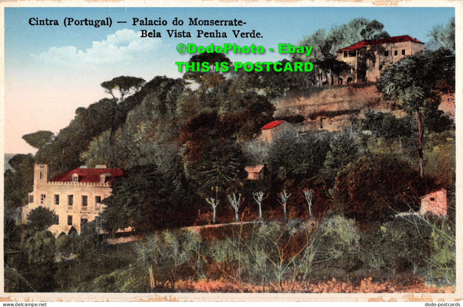 R415041 Cintra. Portugal. Palacio Do Monserrate Bela Vista Penha Verde. S. R - World