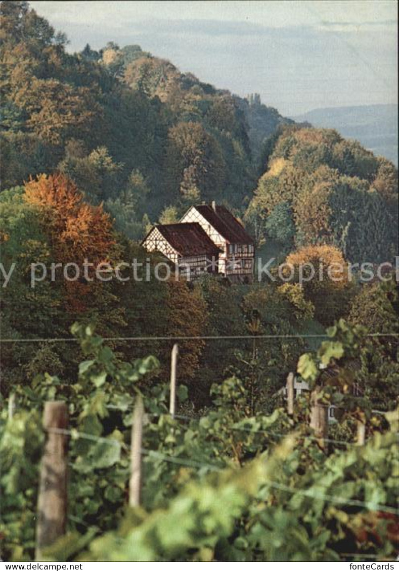 12588489 Salenstein TG Hinterburg Herbststimmung 75 Jahre Thurgauer Heimatschutz - Autres & Non Classés