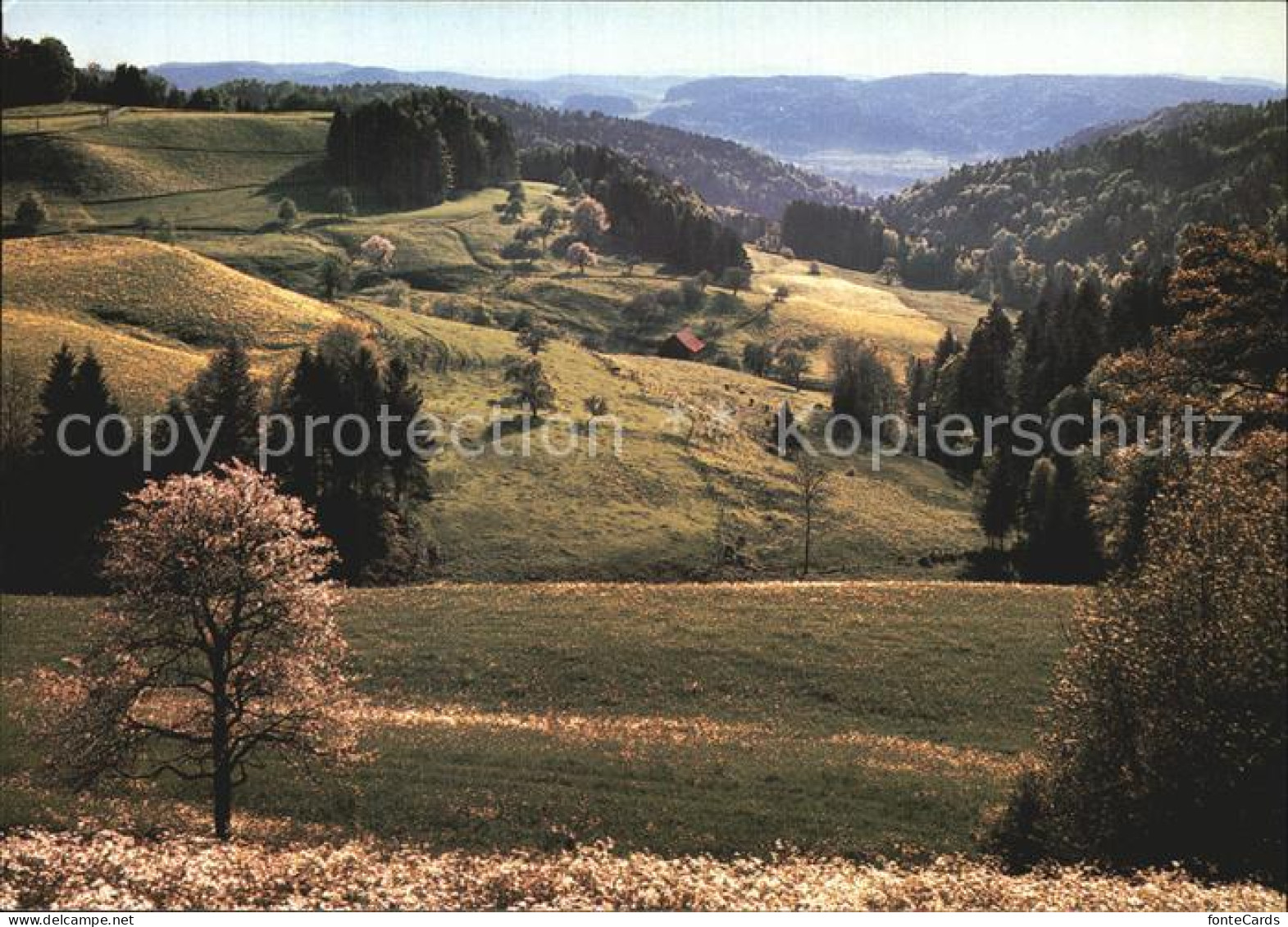 12586639 Sitzberg Panorama  Sitzberg - Altri & Non Classificati