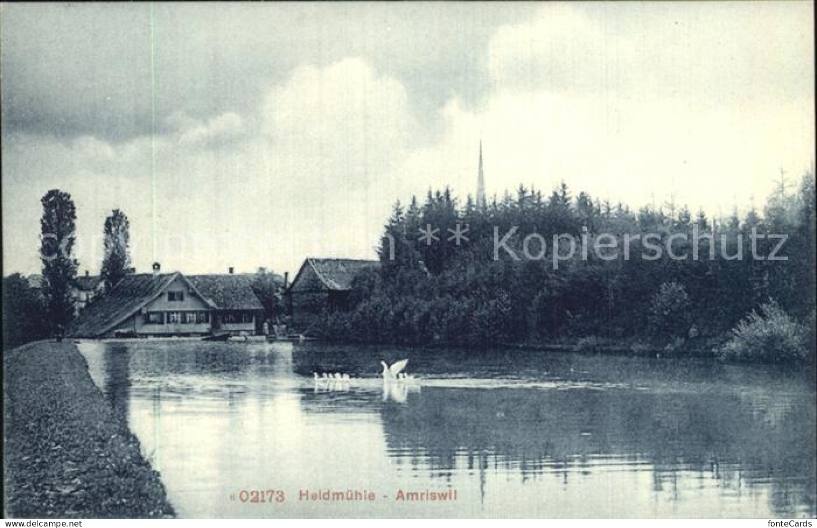 12584569 Amriswil TG Heldmuehle Teich Schwaene Amriswil TG - Sonstige & Ohne Zuordnung