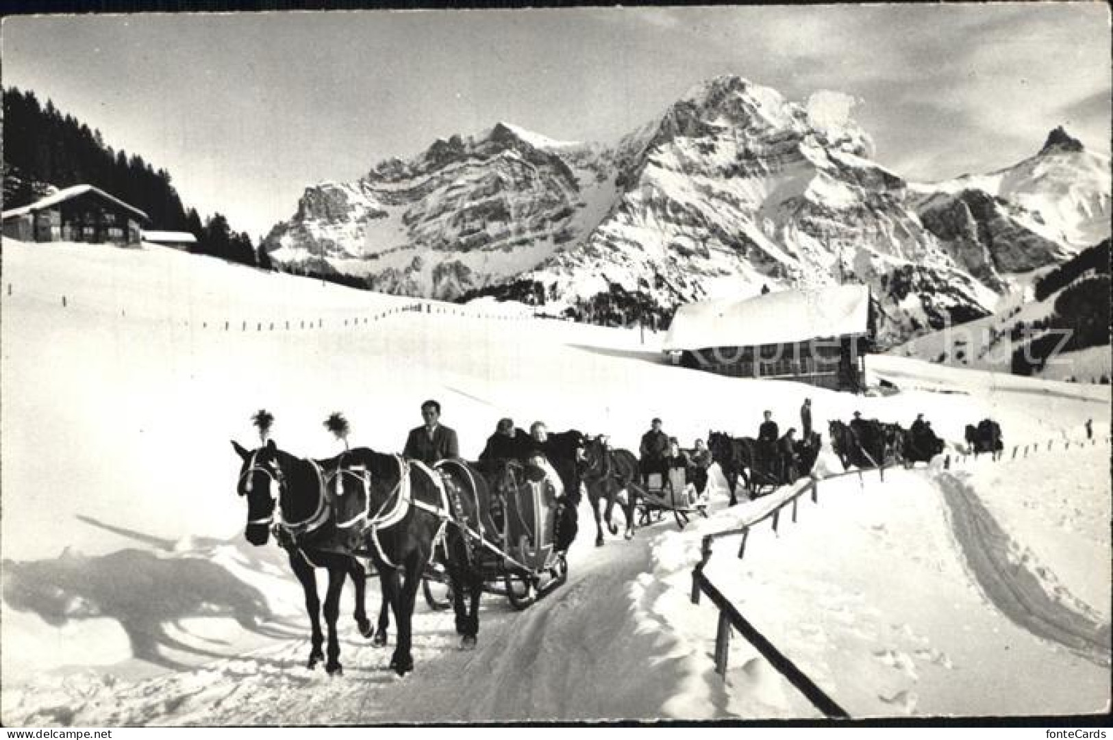 12581719 Adelboden Schlittenfhrt Grosslohner Adelboden - Autres & Non Classés