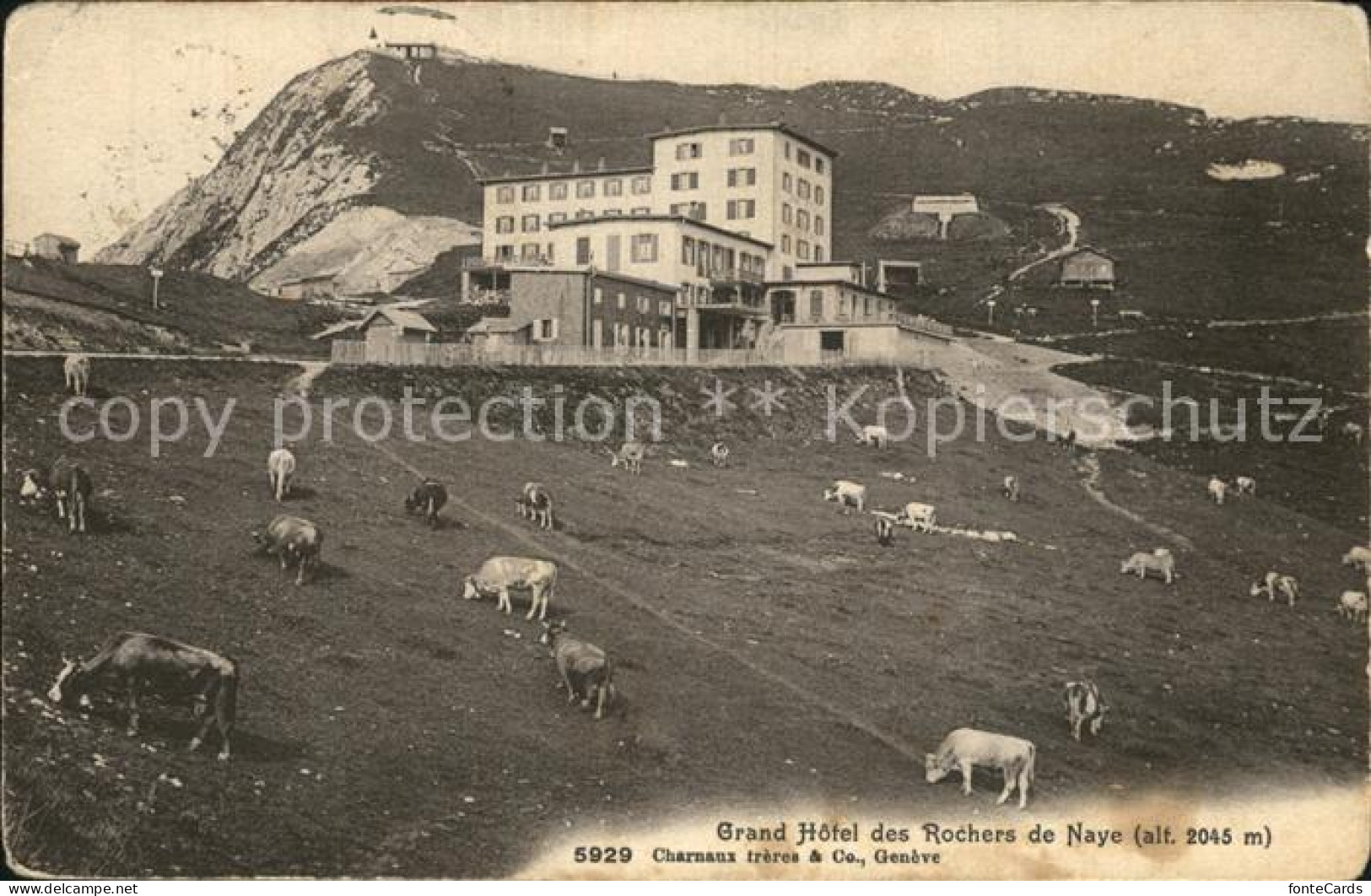 12574979 Rochers De Naye Grand Hotel Rochers De Naye - Sonstige & Ohne Zuordnung