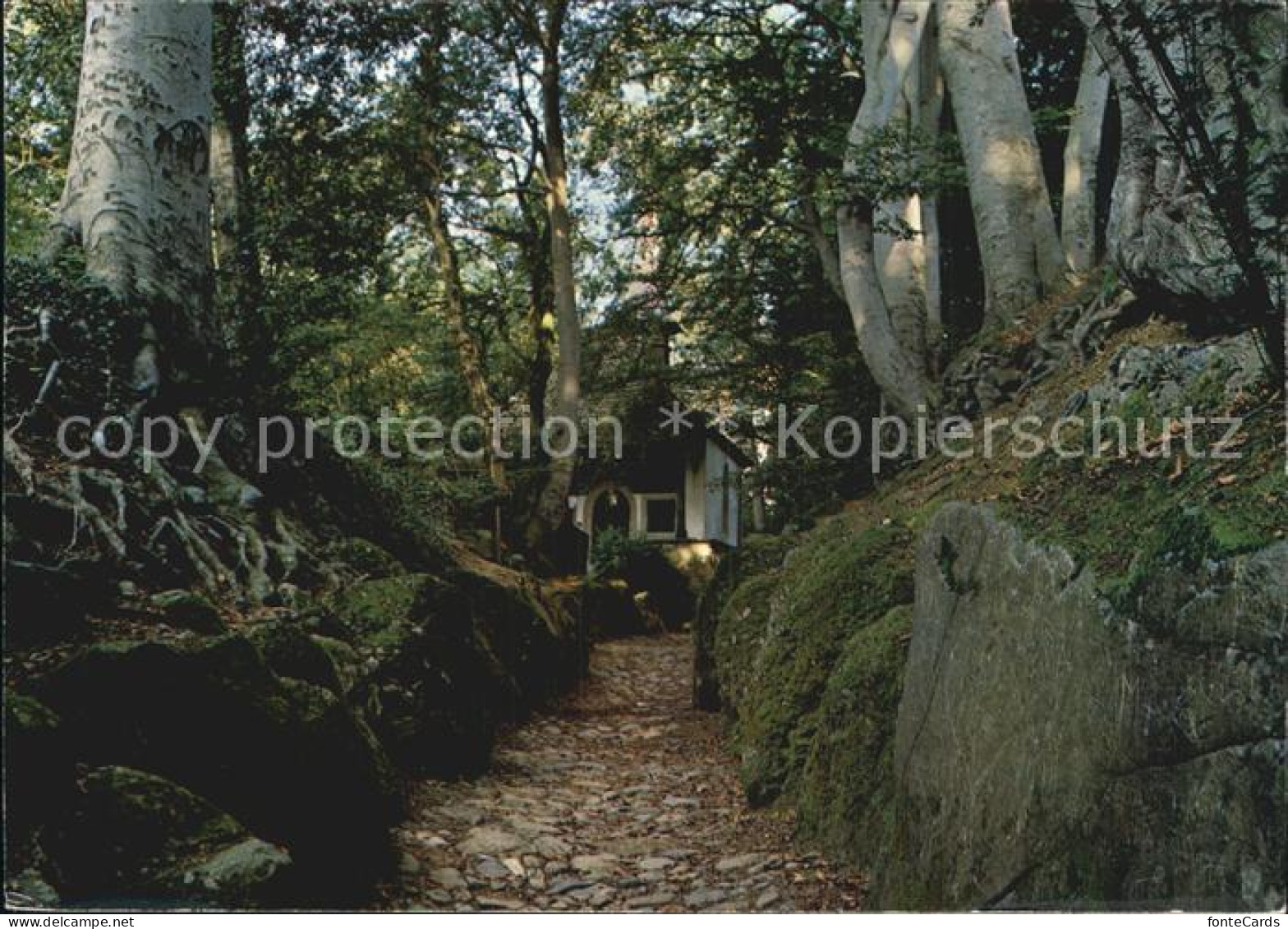 12563689 Kuessnacht Am Rigi Hohle Gasse  Tells-Kapelle Kuessnacht - Andere & Zonder Classificatie