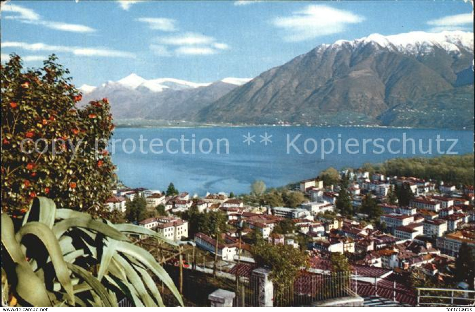 12563259 Locarno Lago Maggiore Panorama Locarno - Other & Unclassified