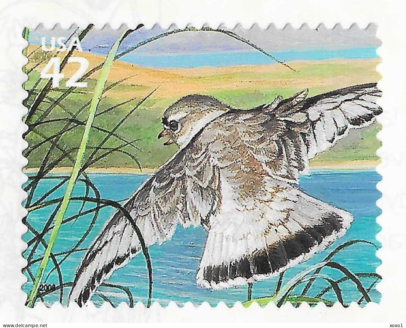 USA 2008 MiNr. 4439 Great Lake Dunes #10, Birds, Piping Plover  1v MNH** 1.00 € - Andere & Zonder Classificatie