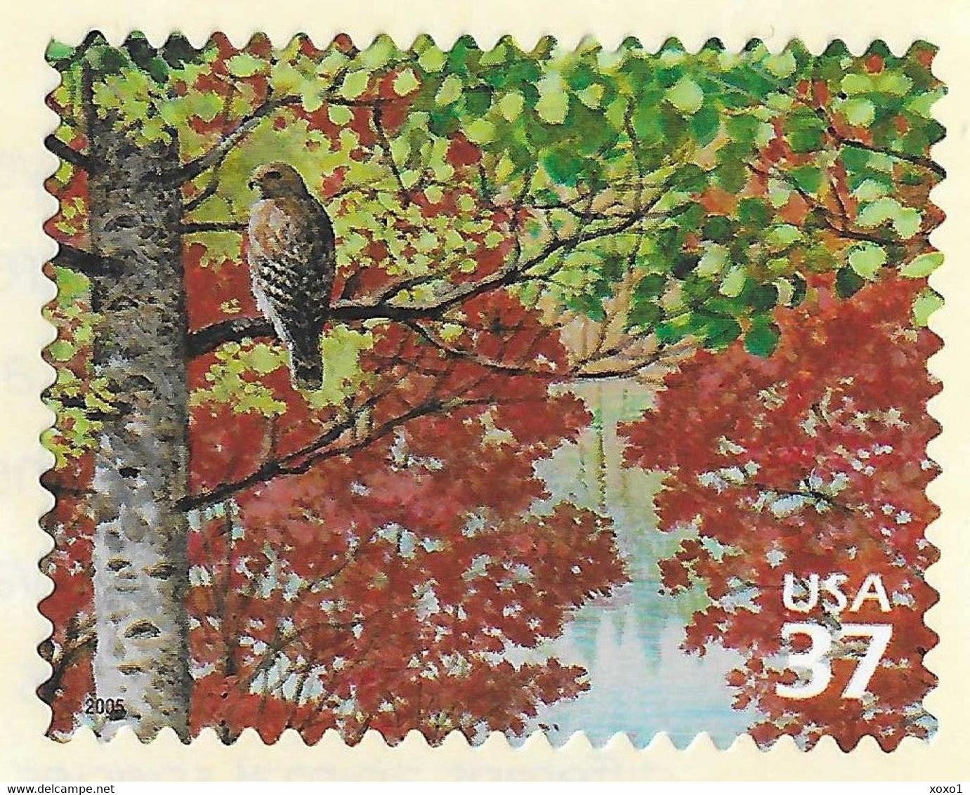 USA 2005 MiNr. 3907 NORTHEAST DECIDUOUS FOREST Birds Red-shouldered Hawk 1v MNH**  0.90 € - Aigles & Rapaces Diurnes