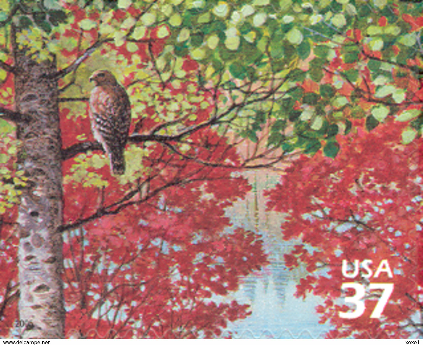 USA 2005 MiNr. 3907 NORTHEAST DECIDUOUS FOREST Birds Red-shouldered Hawk 1v MNH**  0.90 € - Eagles & Birds Of Prey