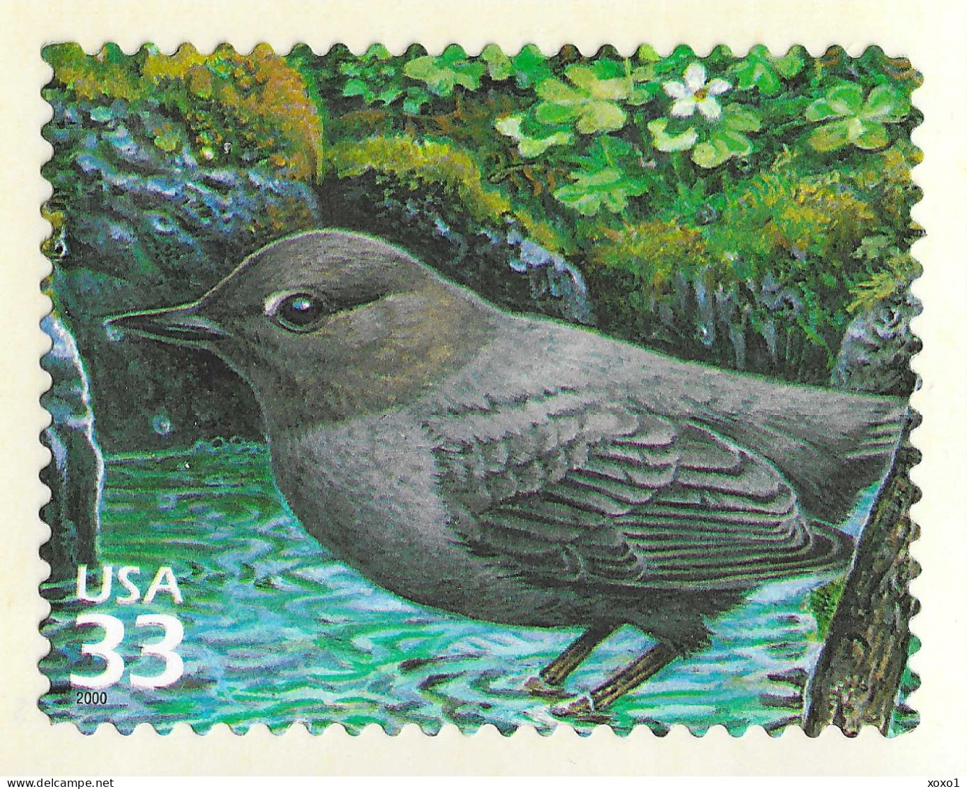 USA 2000 MiNr. 3267 Etats-Unis Pacific Coast Raine Forest #2 Birds American Dipper 1v  MNH** 0,80 € - Sonstige & Ohne Zuordnung