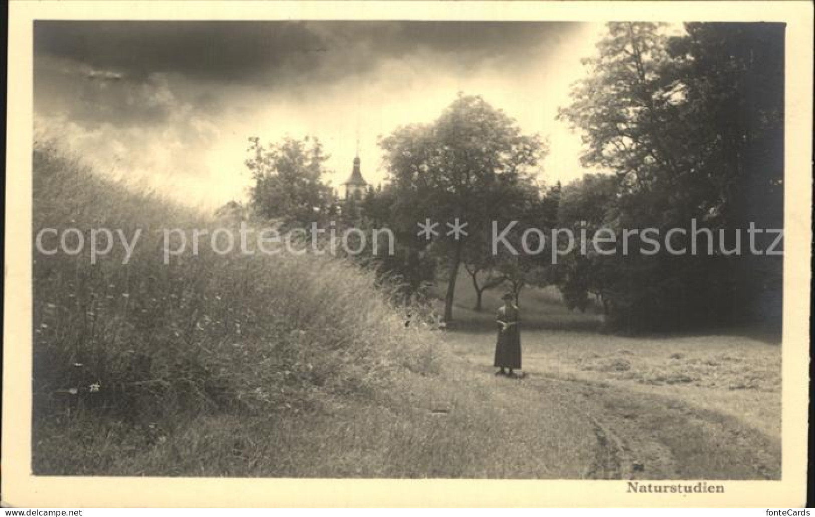 12475159 Schaffhausen SH Sonnengutparie Schaffhausen - Sonstige & Ohne Zuordnung