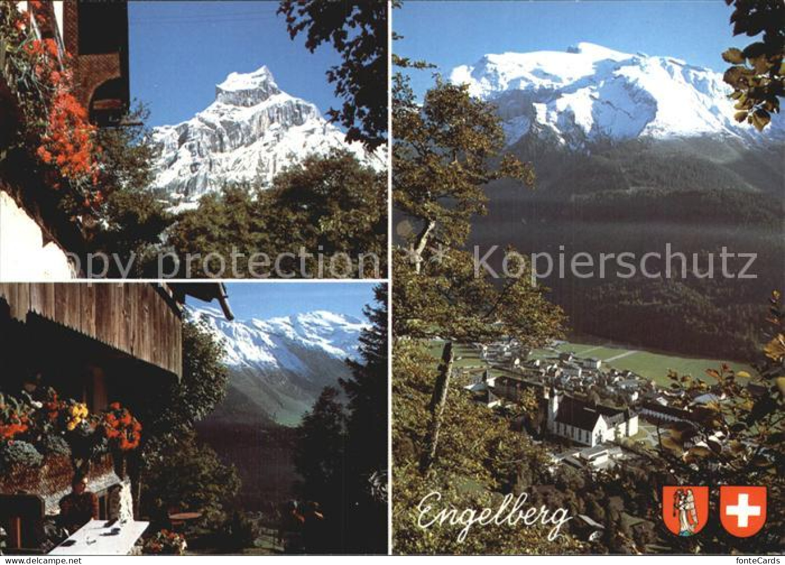 12467079 Engelberg OW Panorama Mit Hahnen Titlis Urner Alpen Engelberg - Autres & Non Classés