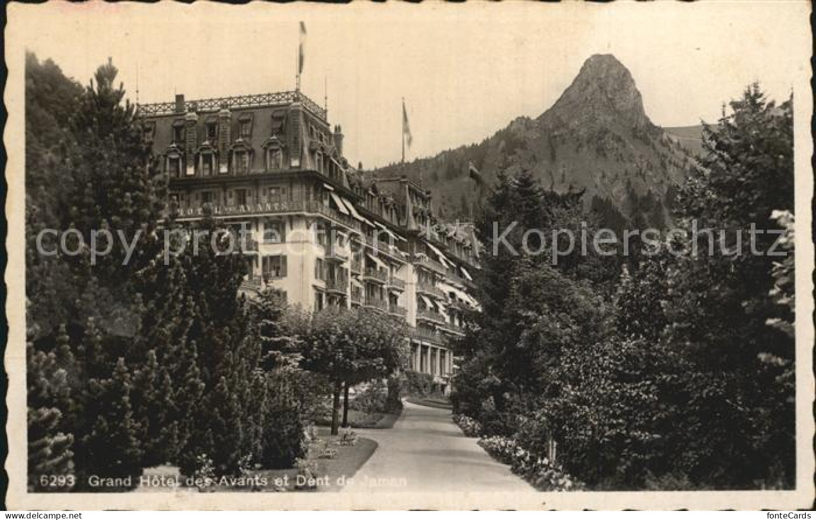 12466309 Les Avants Grand Hotel Des Avants Et Dent De Jaman Les Avants - Andere & Zonder Classificatie