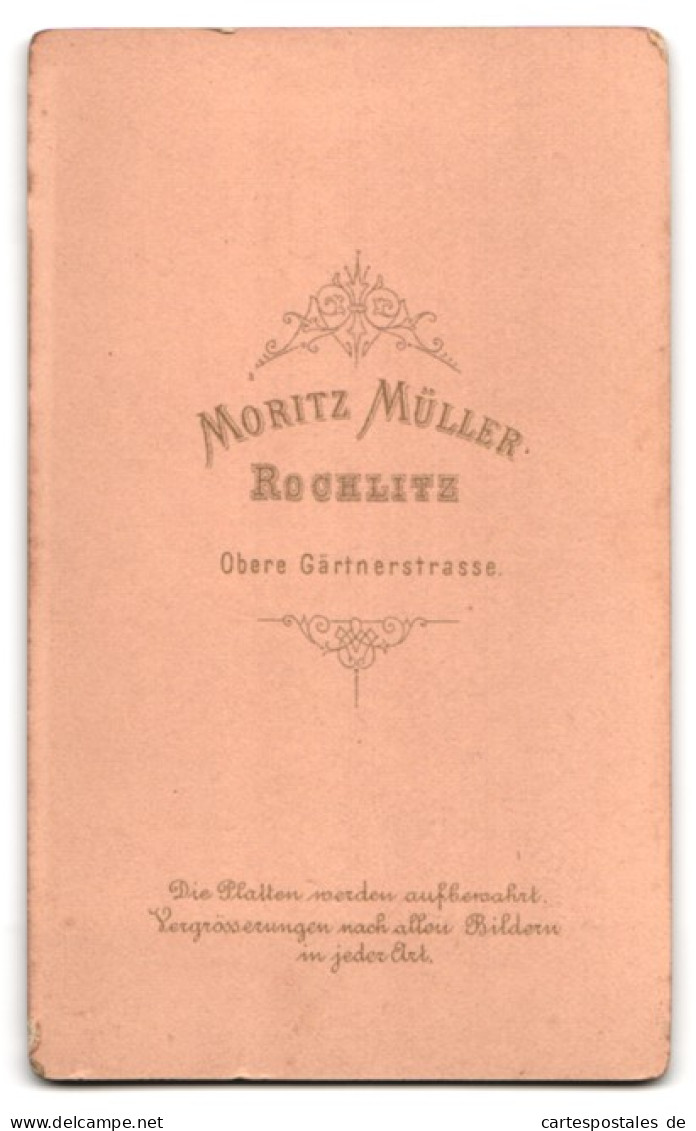 Fotografie Moritz Müller, Rochlitz, Obere Gärtnerstrasse, Junger Herr Im Anzug Mit Fliege  - Anonieme Personen