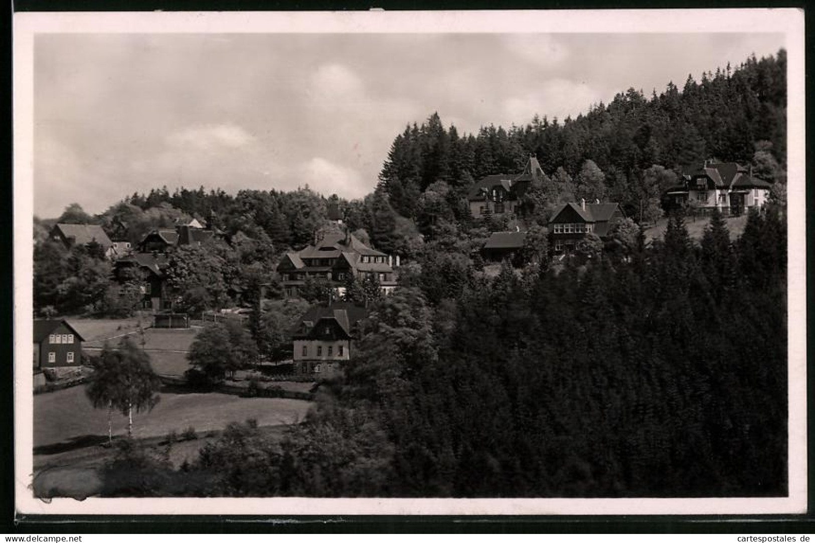 Fotografie Brück & Sohn Meissen, Ansicht Bärenfels I. Erzg., Blick Auf Die Villen Im Ort  - Plaatsen