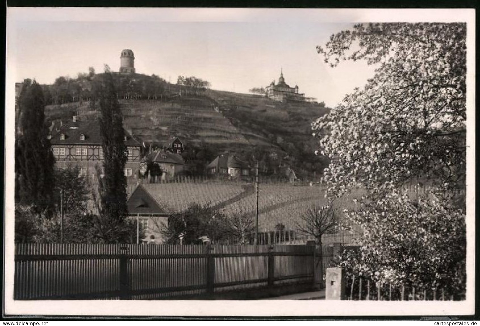 Fotografie Brück & Sohn Meissen, Ansicht Radebeul, Blick Aus Dem Ort Zum Spitzhaus Mit Dem Bismarckturm  - Lieux