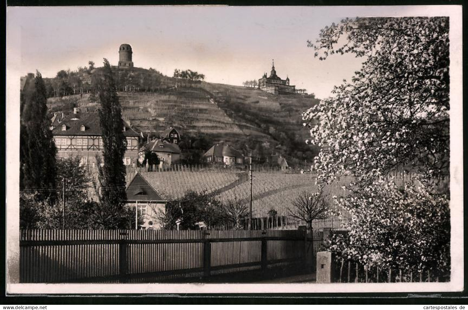 Fotografie Brück & Sohn Meissen, Ansicht Radebeul, Partie Am Weingut Mit Blick Zum Bismarckturm Und Spitzhaus  - Lieux