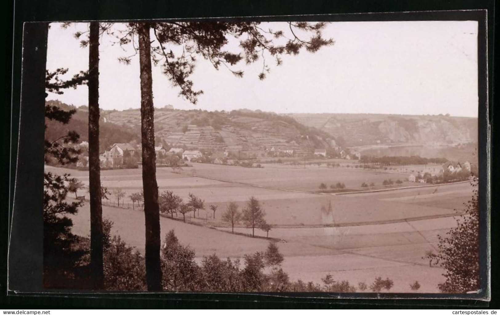 Fotografie Brück & Sohn Meissen, Ansicht Diesbar / Elbe, Blick Vom Golkwald Auf Diesbar  - Lieux