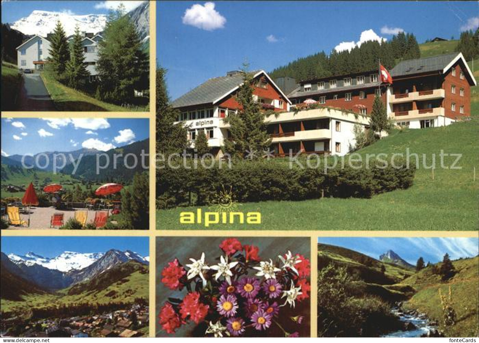 12456919 Adelboden Familienhotel Alpina Terrasse Panorama Alpenflora Adelboden B - Autres & Non Classés