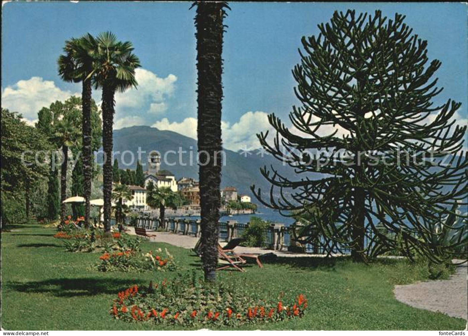 12455409 Brissago TI Lago Maggiore Brissago - Sonstige & Ohne Zuordnung