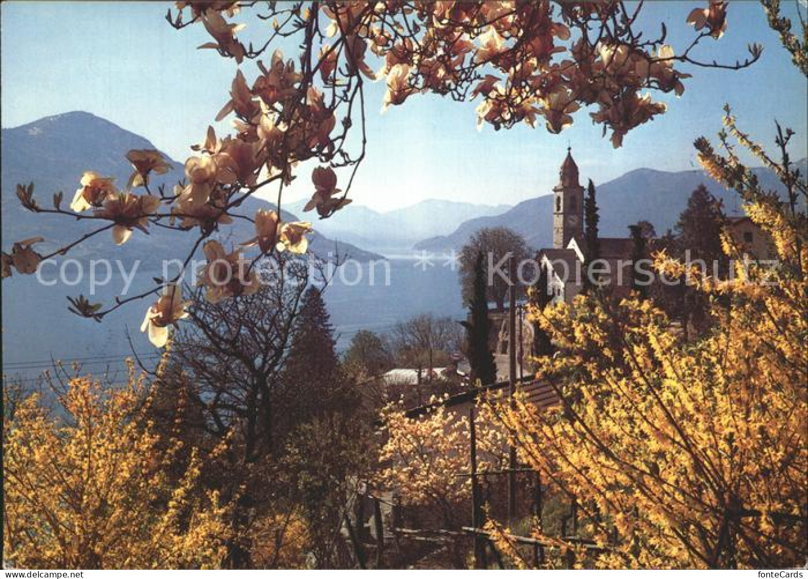 12371659 Ronco TI Kirche See  - Sonstige & Ohne Zuordnung